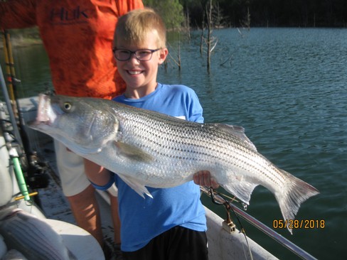 Nice Striped Bass